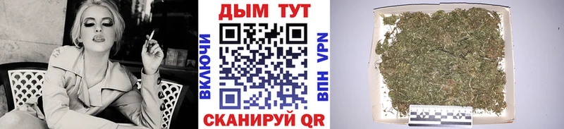 наркотики  Верхняя Пышма  Конопля семена 